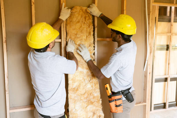 Insulation Air Sealing in Tahoka, TX